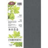 Direct Paper Enviro Board 270gsm Wrought Iron A4 12 Pack