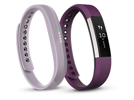 fitbit the warehouse